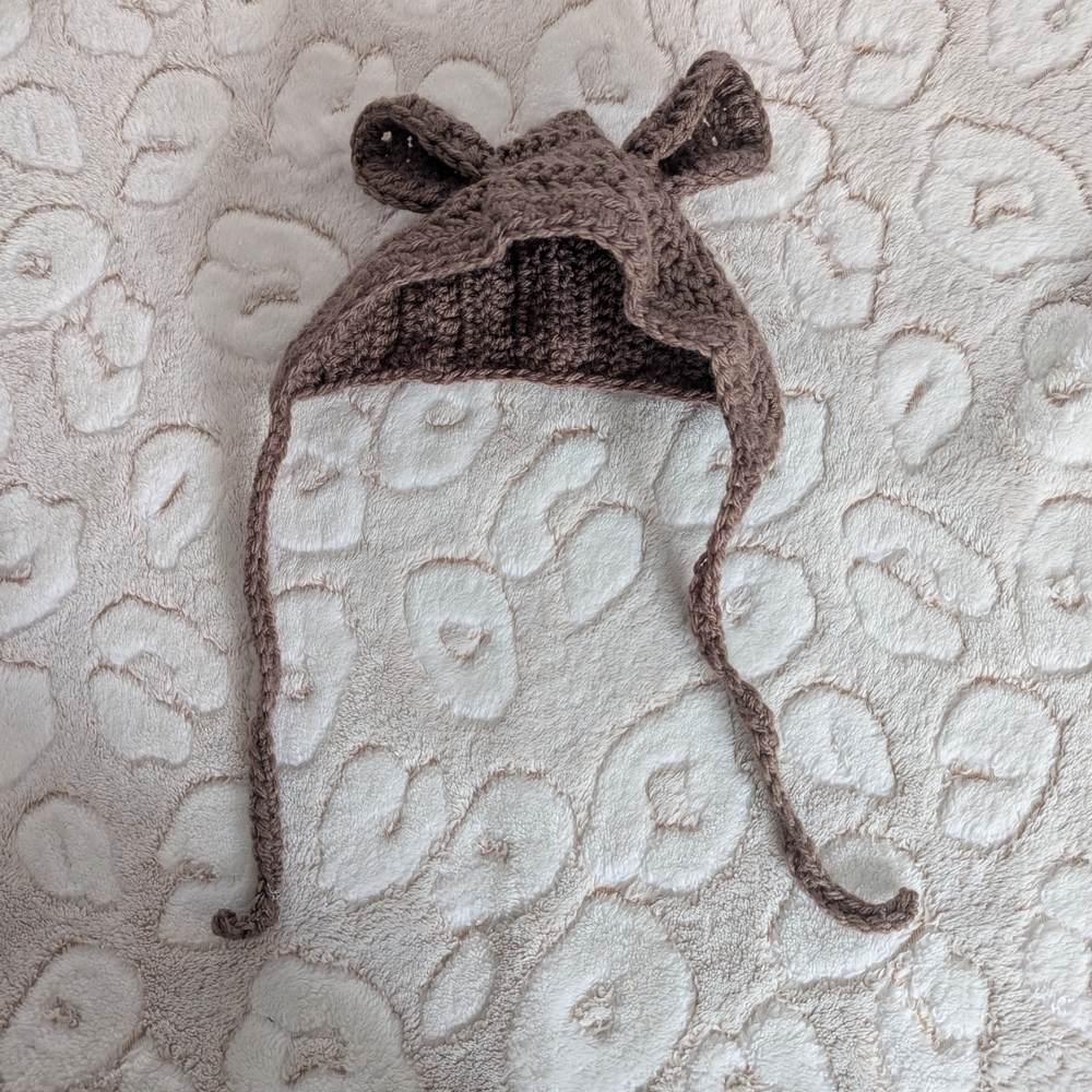 Knit Ear Hat